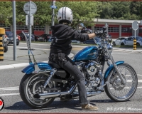 TSR Watermark - 0599